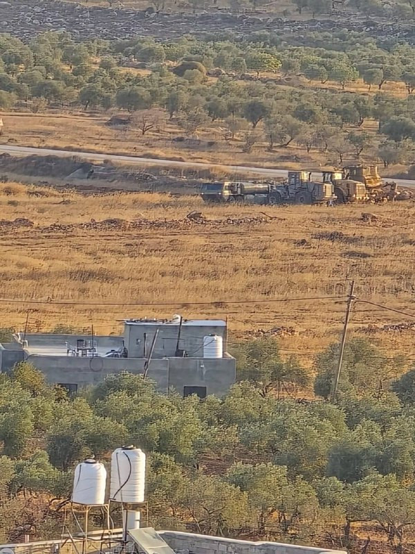 صورة الخبر