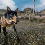 FalloutNV 2026 01 24 13 30 03 099 nr