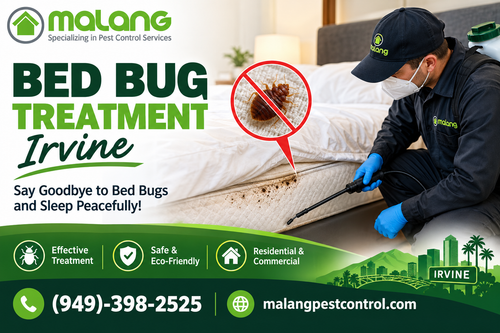Bed Bug Treatment Irvine Professional Bed Bug Control Services.png