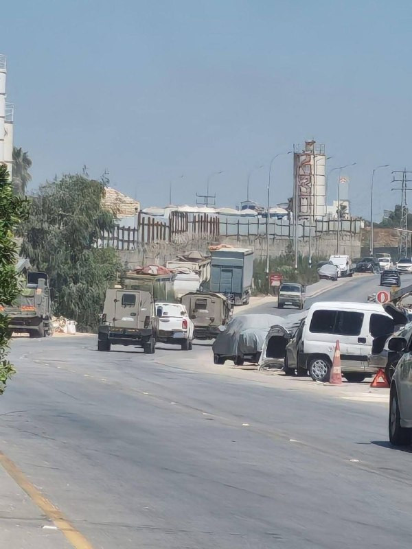 صورة الخبر