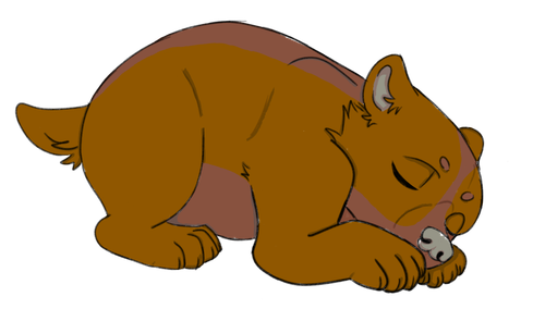 IMG 0119.png