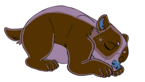 IMG 0120.png
