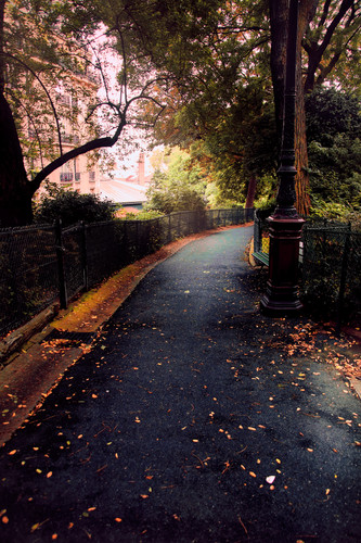  DSC8152 1 1 1.jpg