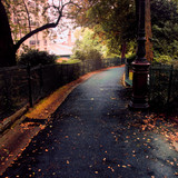  DSC8152 1 1 1