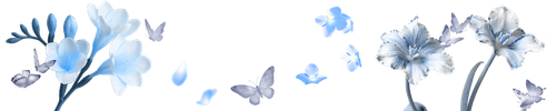 1000121795.png