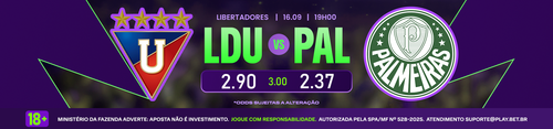 BANNER LDU X PALMEIRAS.png