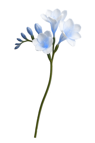 1000121808.png