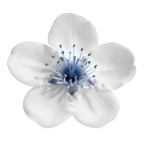 1000121807.png