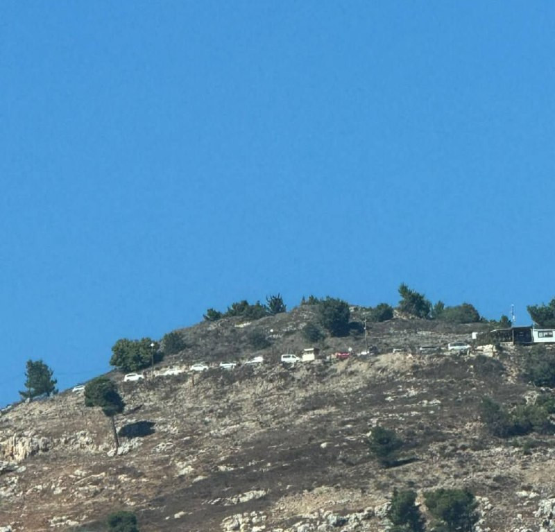 صورة الخبر