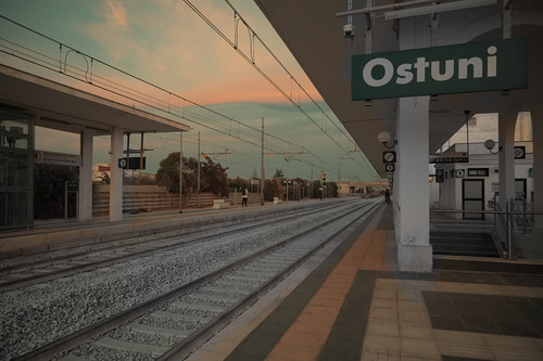  X3A9931.jpg