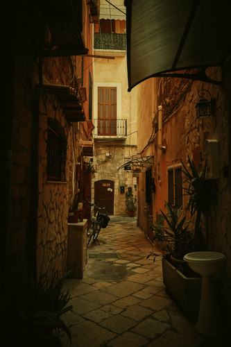  X3A0178.jpg
