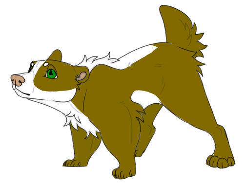 IMG 0094.png