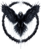 photo 18 2026 09 16 12 16 11 removebg preview (1).png