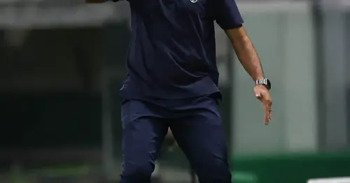 Abel Ferreira Analisa Confronto Crucial entre Palmeiras e Fluminense