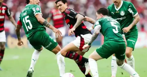 Disputa Acirrada: Palmeiras e Flamengo Empatados na Luta Pelo Título do Brasileirão