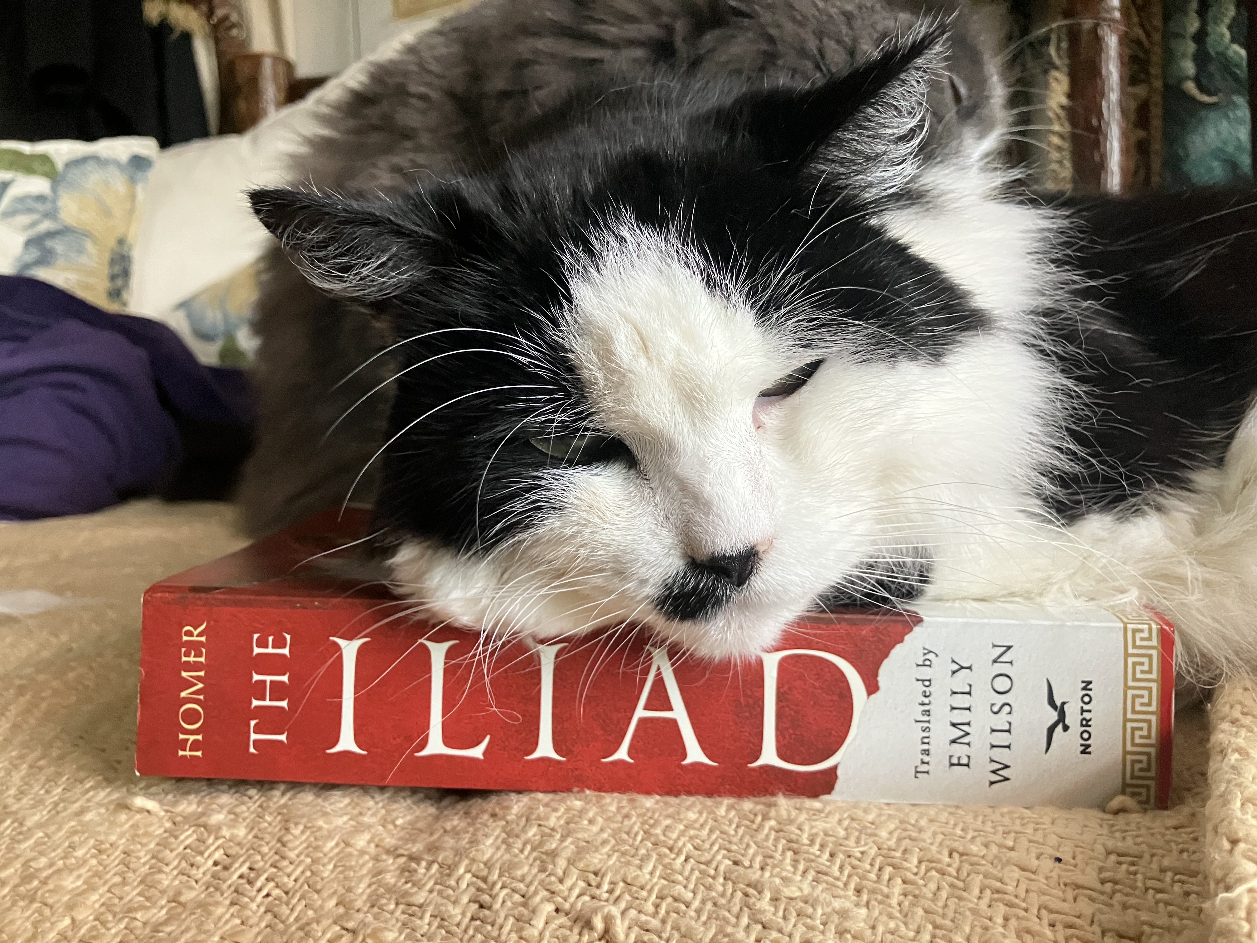 Smudge and her book