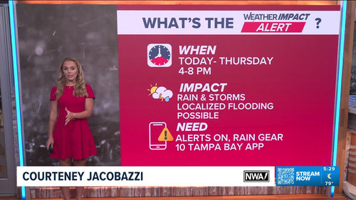 09.01 10.00.00 10 Tampa Bay News This Morning at 5 00 a.m. The AM....ts snapshot 00.30.49.048