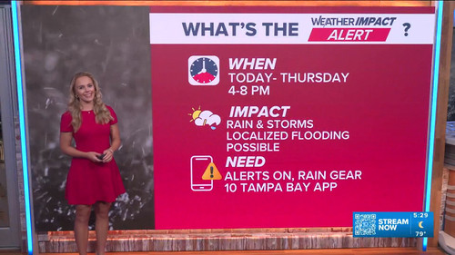 09.01 10.00.00 10 Tampa Bay News This Morning at 5 00 a.m. The AM....ts snapshot 00.30.36.963