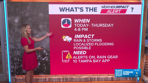 09.01 10.00.00 10 Tampa Bay News This Morning at 5 00 a.m. The AM....ts snapshot 00.44.42.933