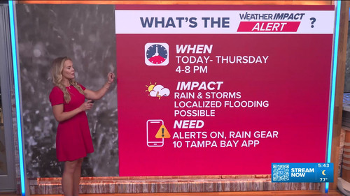 09.01 10.00.00 10 Tampa Bay News This Morning at 5 00 a.m. The AM....ts snapshot 00.44.45.350