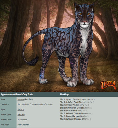 auction lions (1).png