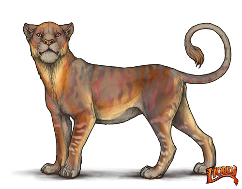 lioden wardrobe (6).png