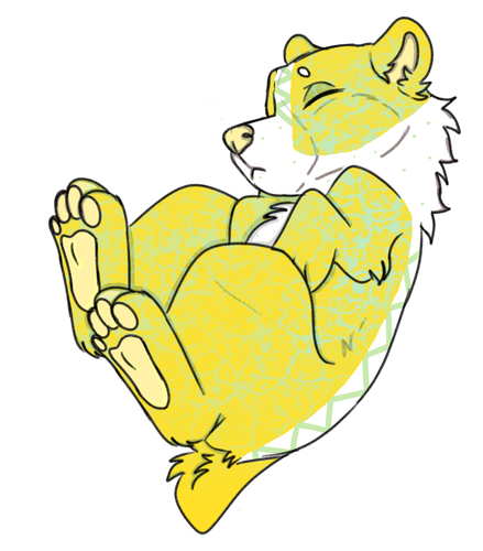 IMG 0116.png