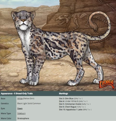 auction lions (5).png
