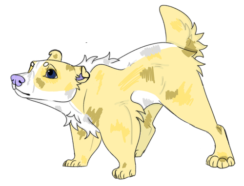 IMG 0104.png