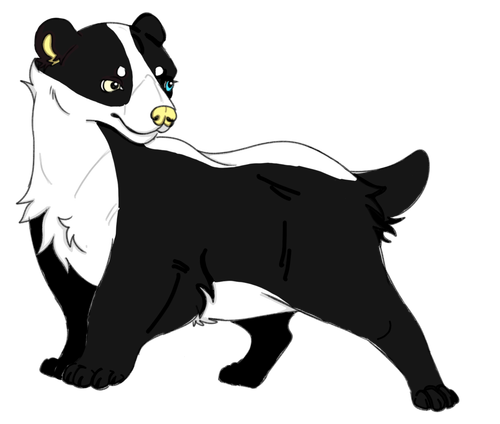 IMG 0101.png