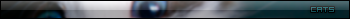 14.png