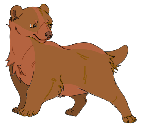 IMG 0098.png