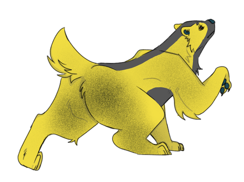 IMG 0099.png