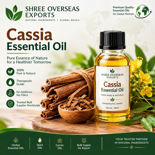 Cinnamon Cassia Essential Oil Bulk Supplier for Global B2B Buyers.png