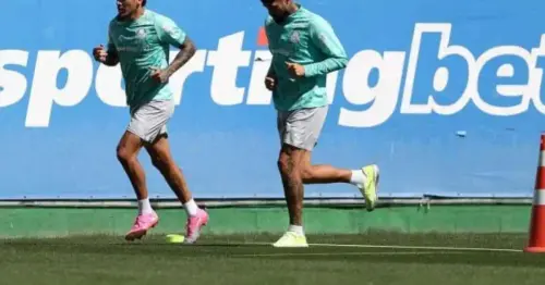 Palmeiras Enfrenta Dúvidas: Gómez e Barboza Avançam em Recuperação
