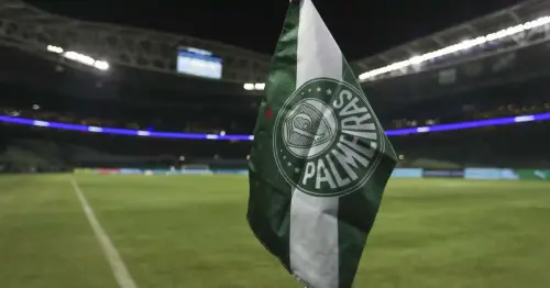Palmeiras em Alerta: Jogador Sofre Nova Lesão e Cria Dúvidas para Decisão da Copa do Brasil