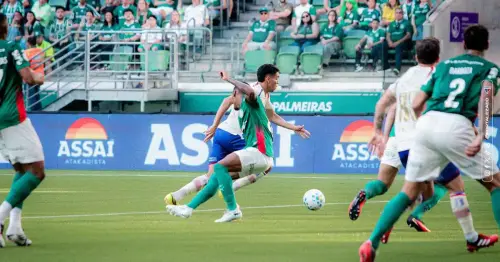 Palmeiras Enfrenta Erros Arbitrais em Partida Decisiva