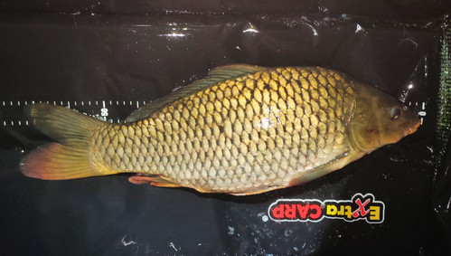 IMG 20260916 211544
