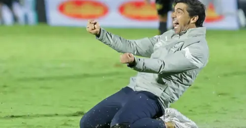 Abel Ferreira: O Amor pelo Palmeiras em Meio a Críticas e Desafios