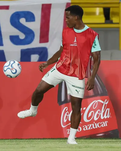 Palmeiras Solidário: Clube Envia Ajuda Aérea a Vítimas do Terremoto na Colômbia
