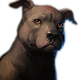 Npc dog dante