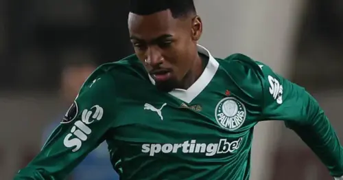 Allan comenta expectativa para duelo entre Palmeiras e Internacional: "Estamos prontos para o desafio"