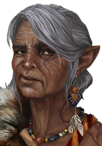 leader2.png