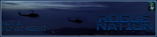 FlyBy Banner.jpg