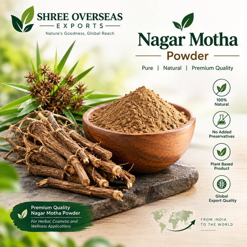 Nagarmotha Powder Exporter India – Quality Bulk Supply for Global Buyers.png