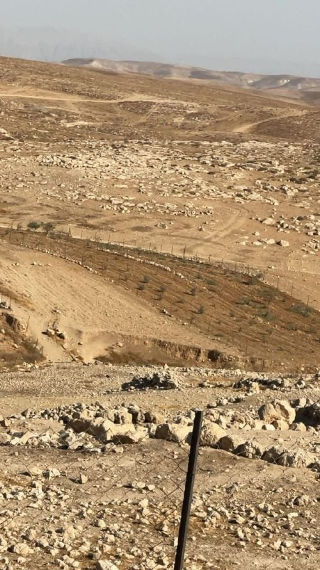 صورة الخبر