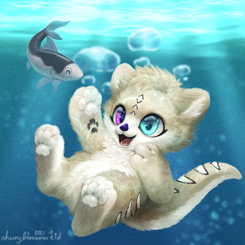 Dakota Floating Commission.png