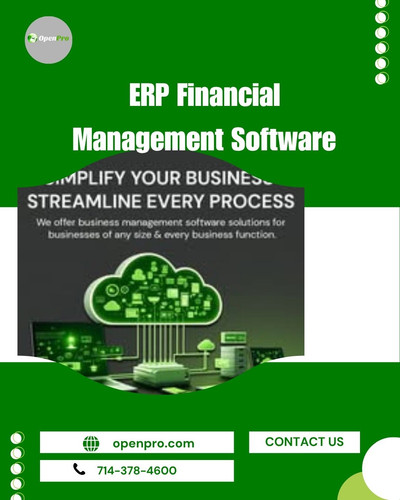 ERP Financial Management Software | Financial Insights.jpg