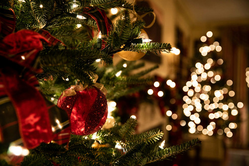 Festive Season Offers  Christmas Parties, Dining & New Year Celebrations.jpg