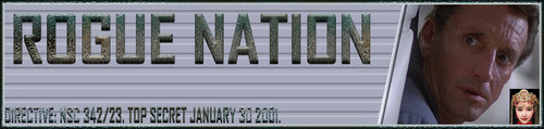 RoySch Banner.jpg